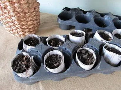 Cum pot face un ziar