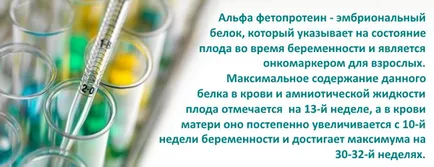 Markerii tumorali ce este Markerii tumorali ce este