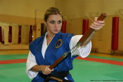 Ce este Nunchuk