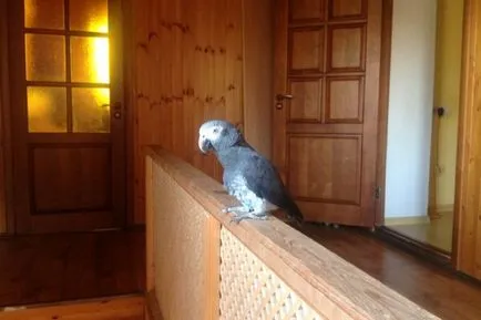 Ce ai nevoie de mine cel mai mult Ce ai nevoie de mine cel mai mult