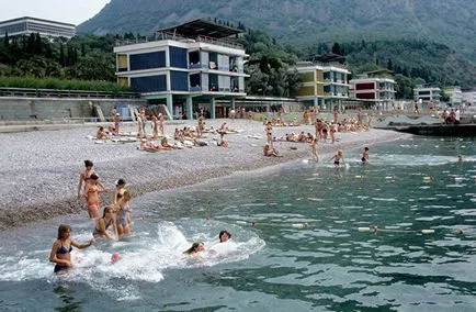 Ce este Artek