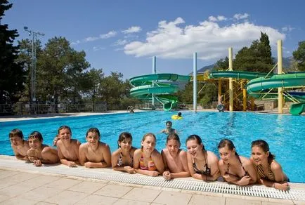Ce este Artek