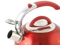 Cum de a alege un ceainic (ceainic) Cum de a alege un filtru de cafea