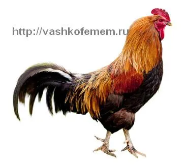 Ghicitul pe vechi