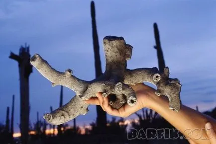 Fulgurite ce este Fulgurite ce este