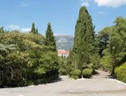 Ce este yalt