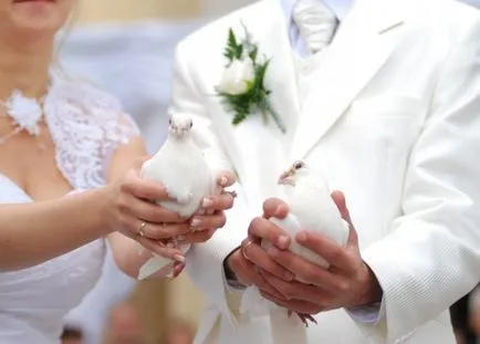 Doves pentru nunti Doves pentru nunti