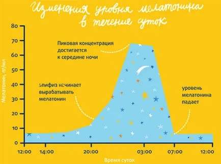 Hormonul melatonină