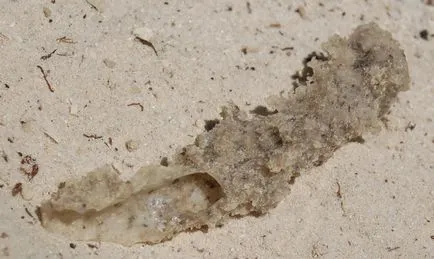 Fulgurite ce este