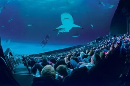Ce este aymaks cinema