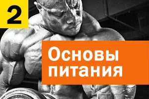 Cât mai repede posibil pentru a câștiga masei musculare