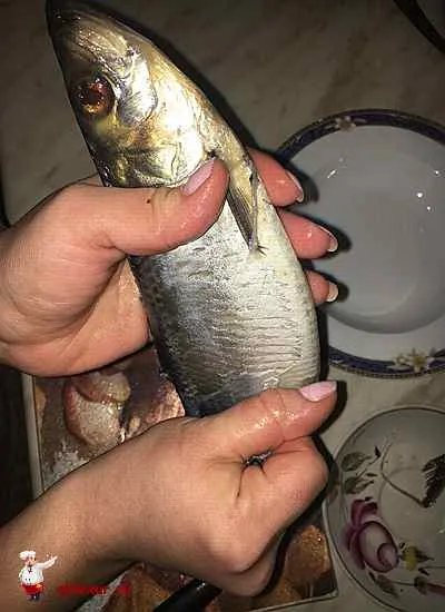 Cum se curata rapid un hering Cum se curata rapid un hering
