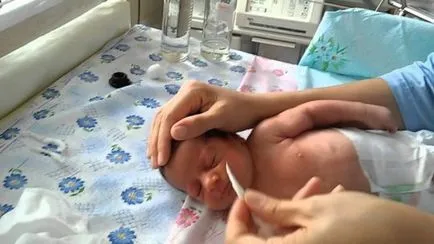 Turundy ce este Turundy ce este