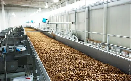 chipsuri de cartofi din Rusia chipsuri de cartofi din Rusia