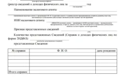 Cum de a plăti impozitul pe venitul personal Cum de a plăti impozitul pe venitul personal