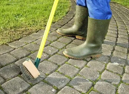 Cum să se ocupe cu mușchi