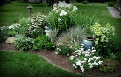 Cum să planteze flori