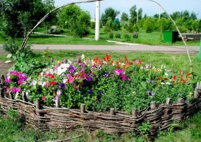 Cum să planteze flori