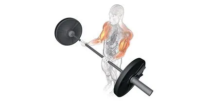 Cât mai repede posibil pentru a câștiga masei musculare
