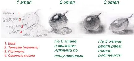 Cum să elaboreze pentru asistență tehnică