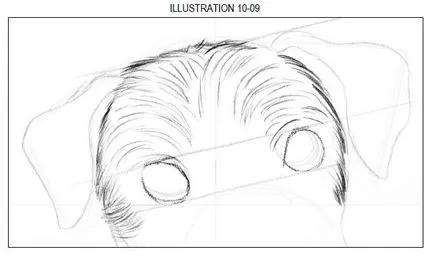 lecții de desen Câine