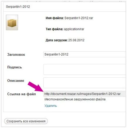 Cum pot descărca un fișier de pe un site
