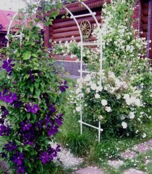 Cum sa faci un suport pentru Clematis Cum sa faci un suport pentru Clematis