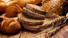 Cum să crească grâu - plantarea și îngrijirea cereale, recolta (îngrijire) Cum să crească grâu - plantarea și îngrijirea de cereale, recoltarea