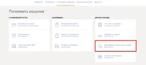 Cum să-și reîncarce kiwi pungă prin Internet