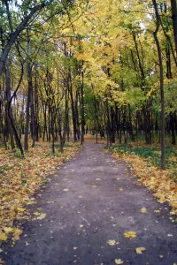 Cum de a ierta și de a te iubi Cum de a ierta și de a te iubi