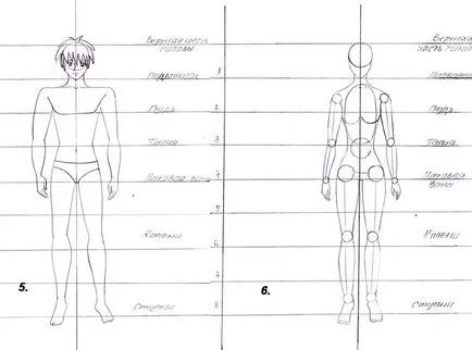 Cum de a desena o diagramă de anime