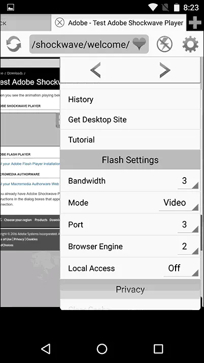 Cum se instalează plugin-ul Flash