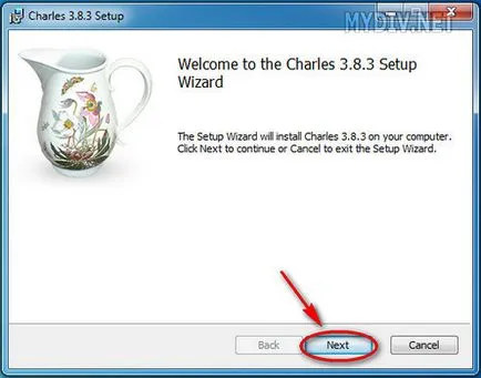 Cum se configurează charles