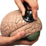 Cum de a restabili memoria unei persoane