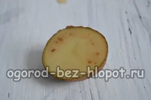 Cum să crească un trandafir din buchetul la domiciliu în cartofi (la domiciliu) Cum să crească un trandafir din buchetul la domiciliu în cartofi