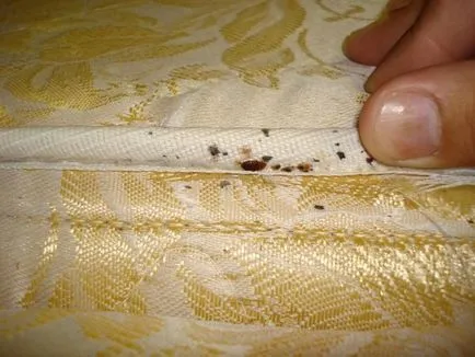 Cum de a afișa bug-uri din apartament pe cont propriu cum să scape de acasă (să se retragă) Cum de a afișa bug-uri din apartament pe cont propriu cum să scape de acasă