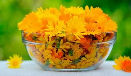 Calendula pentru a trata