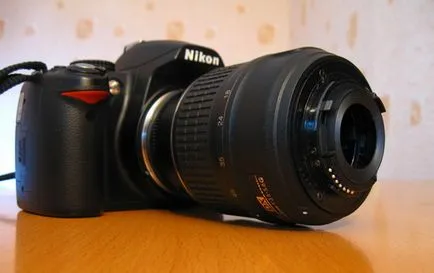 Lens ca o balenă