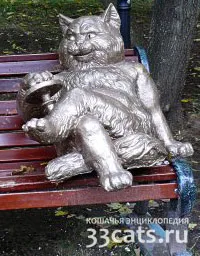 Care a fost numele lui Bulgakov pisică