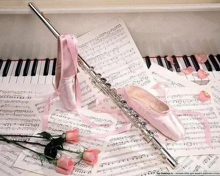 Ce este concertmaistrul