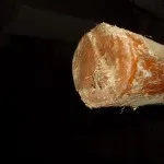Ce trebuie să se plece