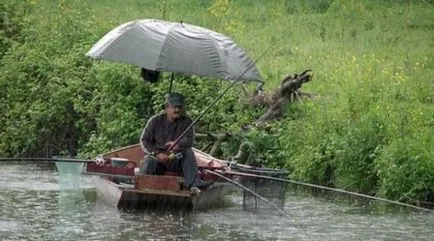 Ca peștii sunt prinși în ploaie Ca peștii sunt prinși în ploaie