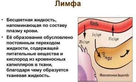 Ce este lymphostasis picioare