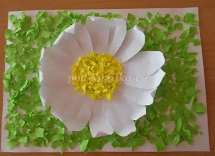 Masterat Clasa de hârtie appliqué Masterat Clasa de hârtie appliqué