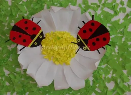 Masterat Clasa de hârtie appliqué Masterat Clasa de hârtie appliqué