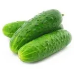Ce plante uree