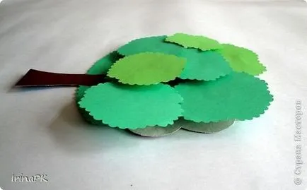 Masterat Clasa de hârtie appliqué