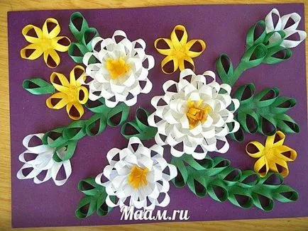 Masterat Clasa de hârtie appliqué