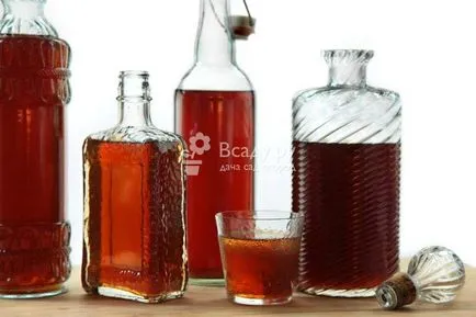 Cum de a face o tinctura de alcool Cum de a face o tinctura de alcool