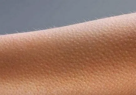 La poalele curbata